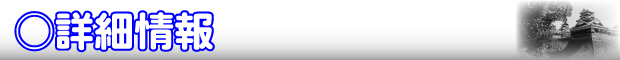 詳細情報